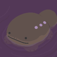 Photo du profil de l'utilisateur